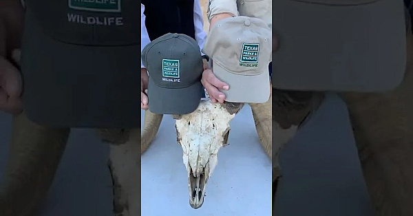 Hats Off To The Women Who Protect Texas’ Wild Things And Wild Places!  #womenshistorymonth