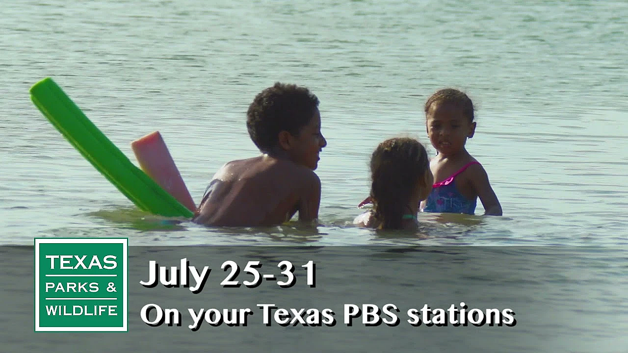 Pbs Preview - Bass Tracking, Lake Corpus Christi, Kemp's Ridley History - #2916