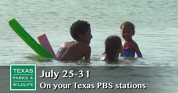 Pbs Preview - Bass Tracking, Lake Corpus Christi, Kemp's Ridley History - #2916