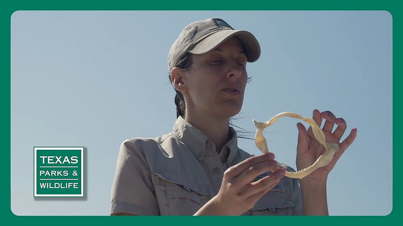 Pbs Trailer - Protecting Devils, Creative Classroom &amp; Lake Corpus Christi