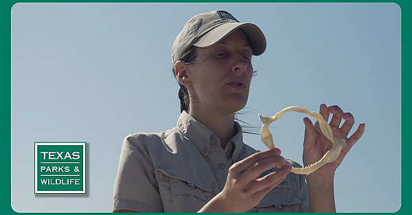 Pbs Trailer - Protecting Devils, Creative Classroom &amp; Lake Corpus Christi