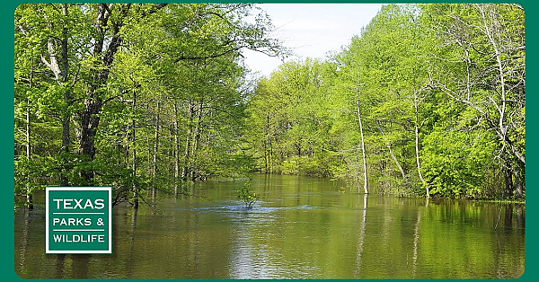 Pbs Trailer - Bayou City, Shotgun Skills &amp; Goose Island Wild Wildlife