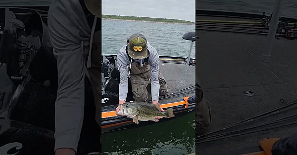 Why So Many Sharelunkers In O.h. Ivie?