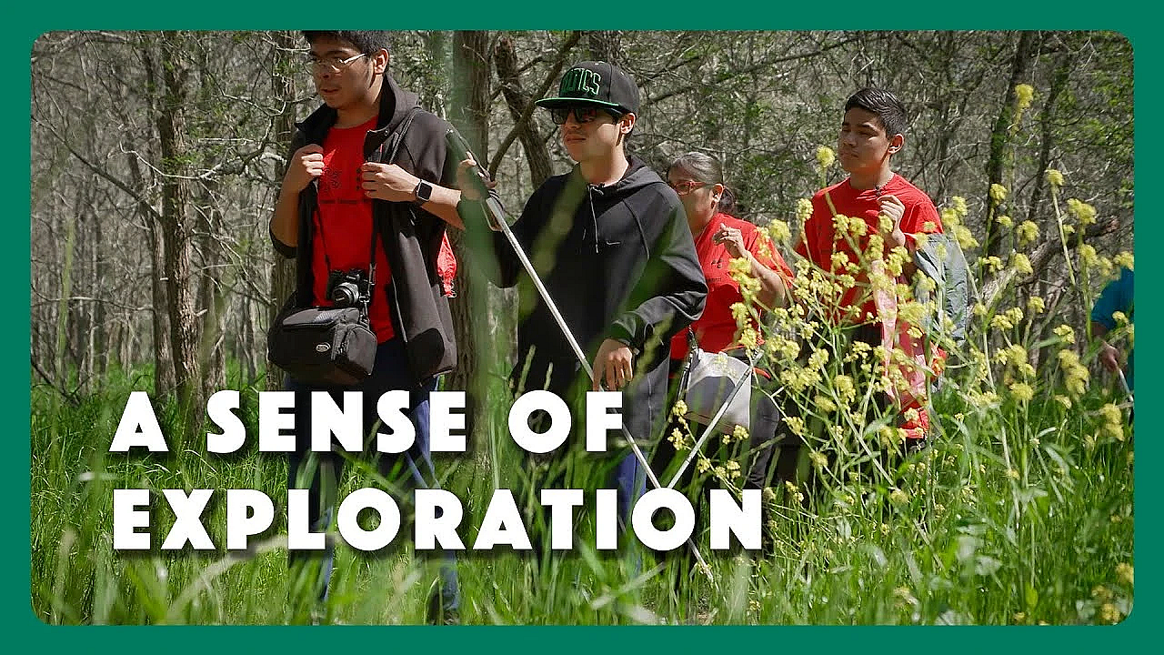 A Sense Of Exploration