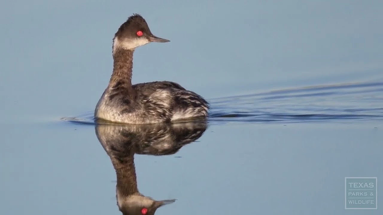 Greg Lasley: Seeing His World