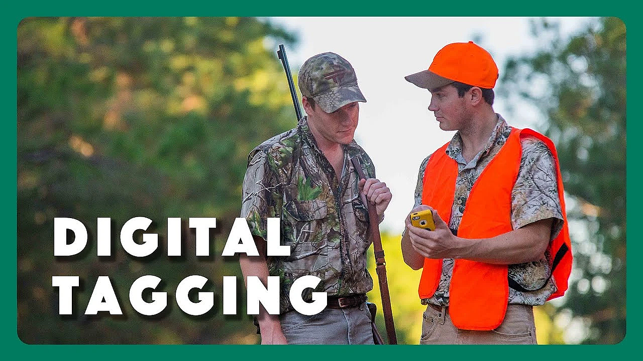 Digital License &amp; Tagging Team