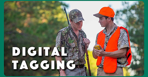 Digital License &amp; Tagging Team