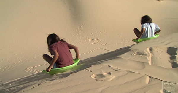 Surfing The Sands Of Monahans - Texas Parks &amp; Wildlife [official]