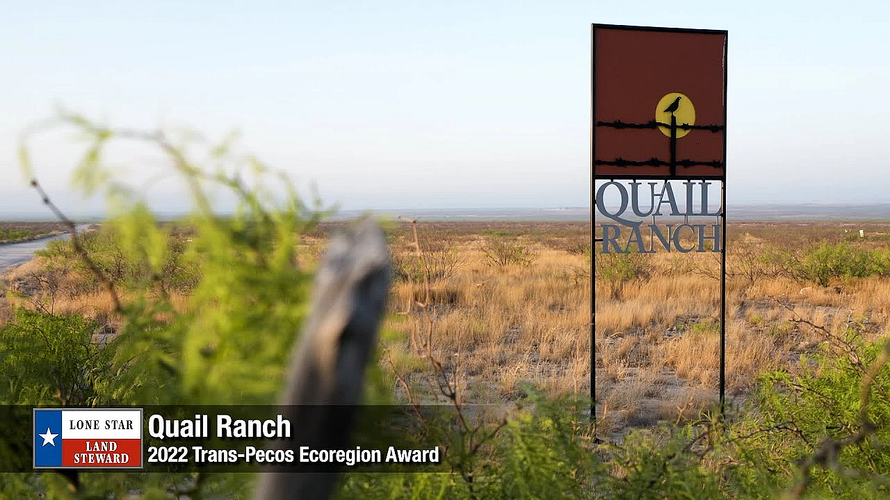 2022 Lone Star Land Steward: Quail Ranch