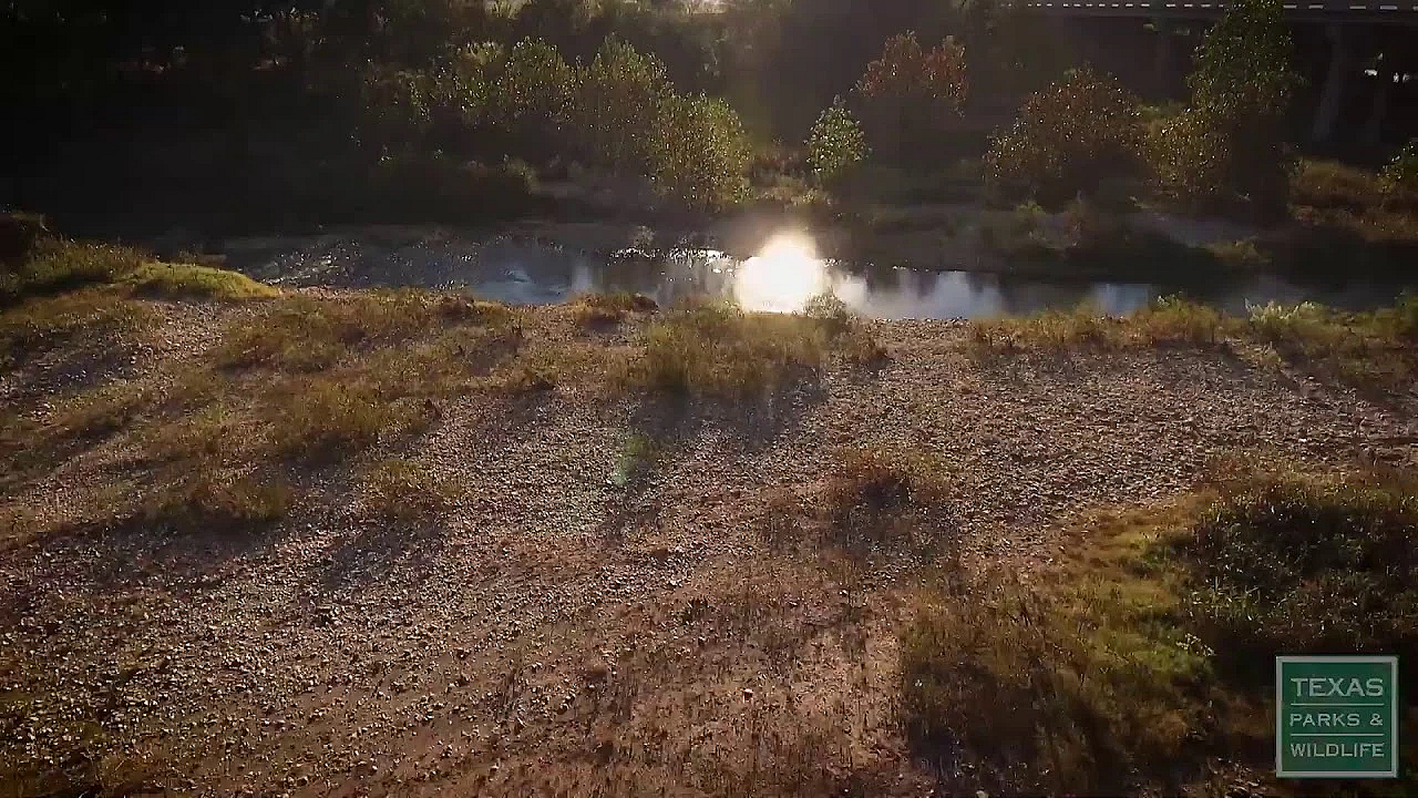Texas Parks And Wildlife Live Stream