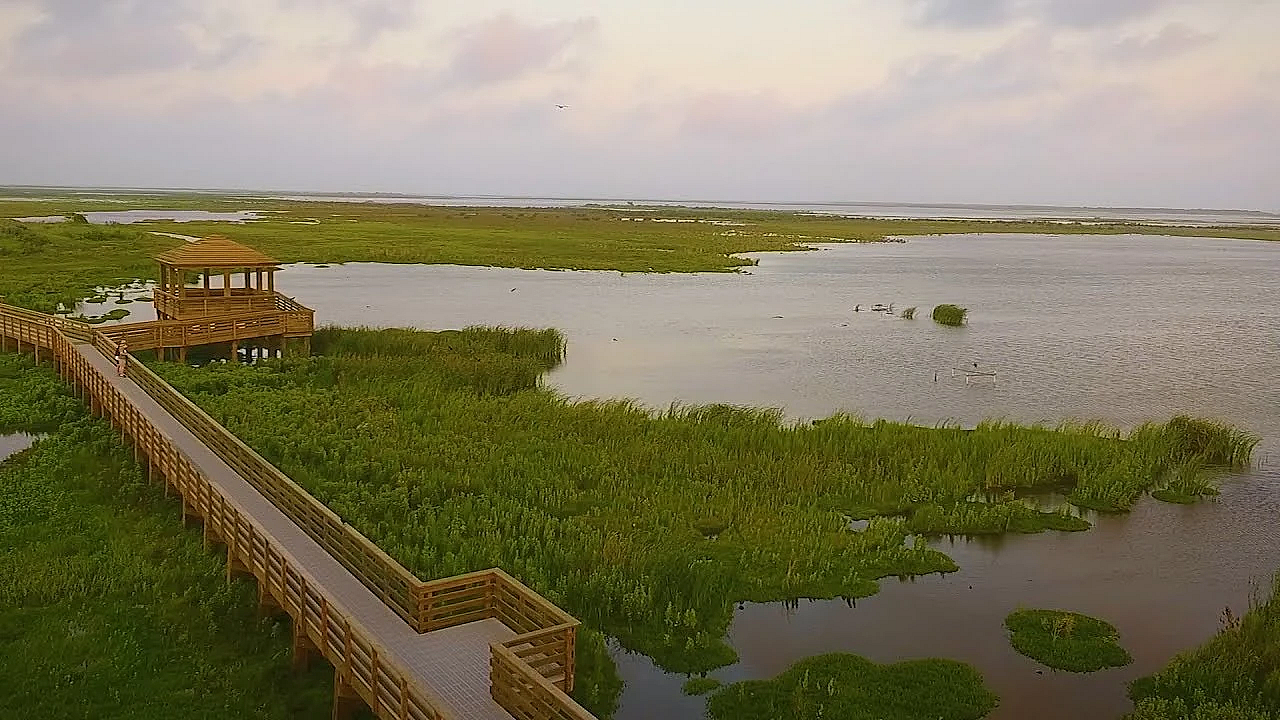Port Aransas Birding Boardwalk - Texas Parks &amp; Wildlife [official]