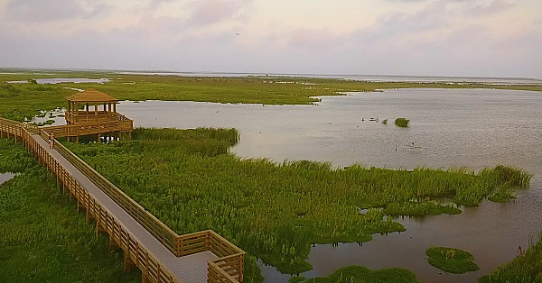 Port Aransas Birding Boardwalk - Texas Parks &amp; Wildlife [official]