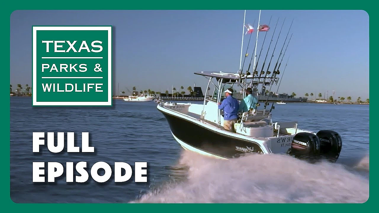 Pbs Show - Watching Wildlife, Preservation Partners &amp; Guadalupe River