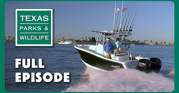 Pbs Show - Watching Wildlife, Preservation Partners &amp; Guadalupe River