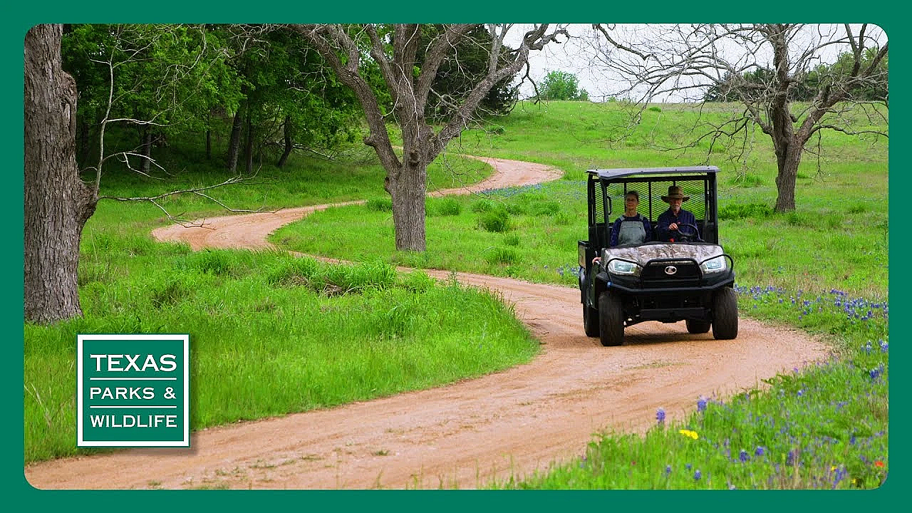 3204 Tease First Air