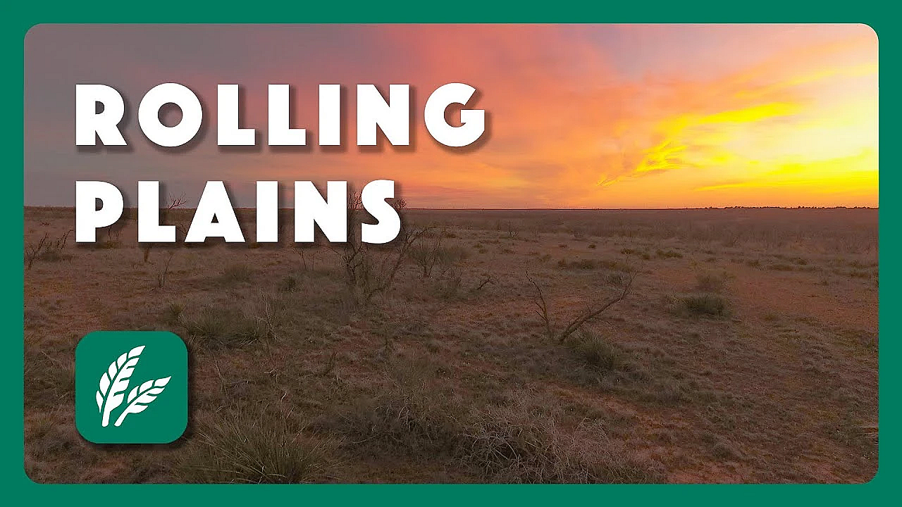 Rolling Plains Sunset - Postcard From Texas