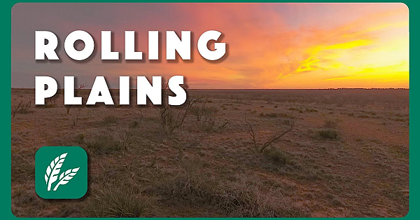 Rolling Plains Sunset - Postcard From Texas