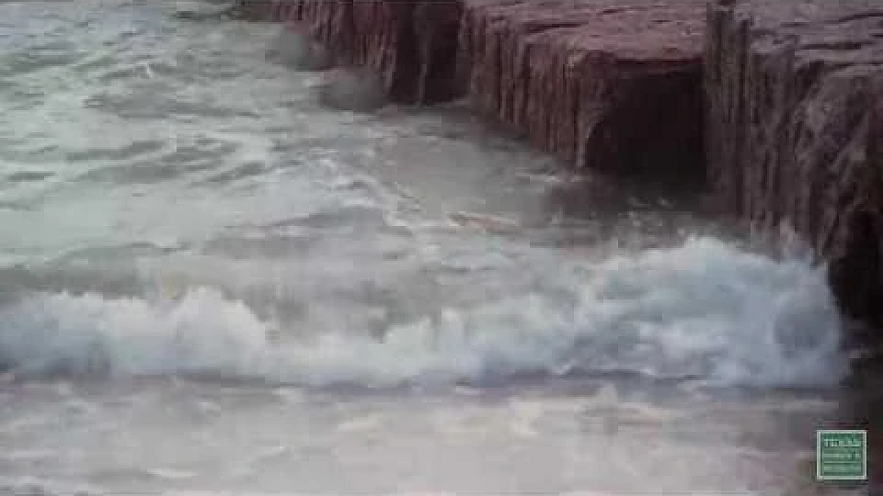 Packery Channel - Postcard From Texas