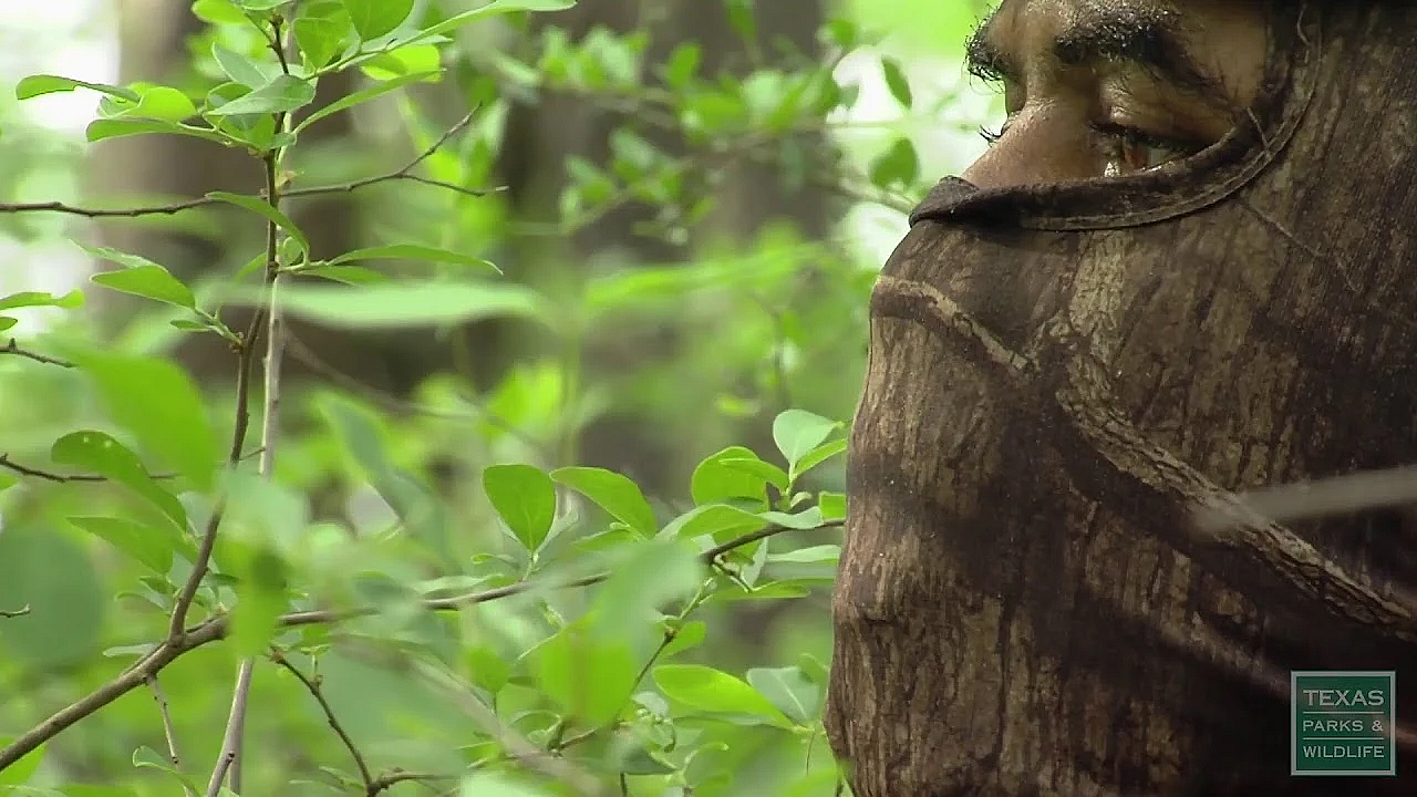 Texas Parks And Wildlife Live Stream