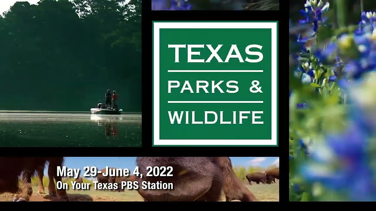 Pbs Preview - Oil Spill Watchdogs, Buffalo Soldier Connection, Water For Wildlife
