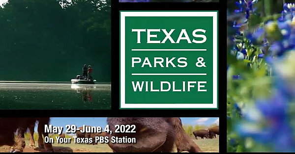 Pbs Preview - Oil Spill Watchdogs, Buffalo Soldier Connection, Water For Wildlife