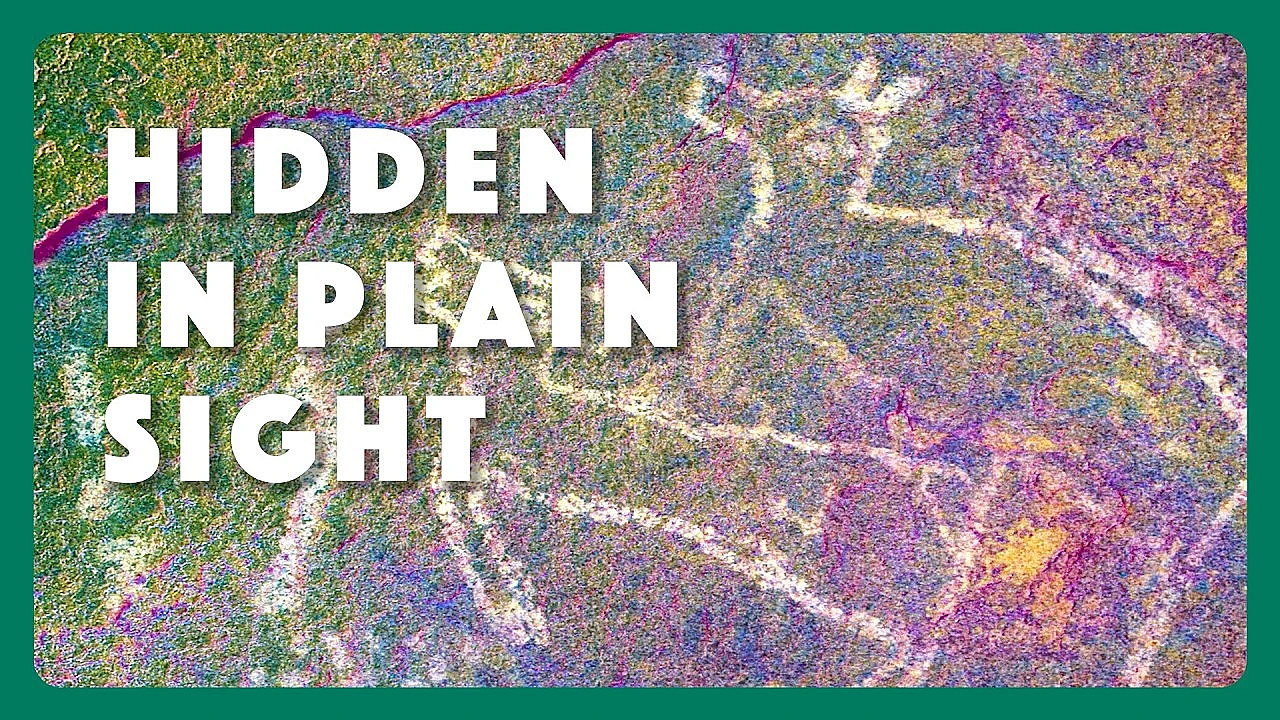 Hidden In Plain Sight