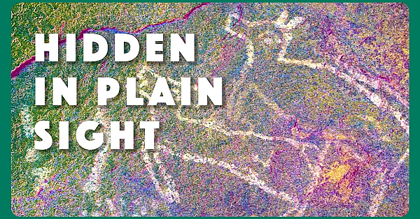 Hidden In Plain Sight