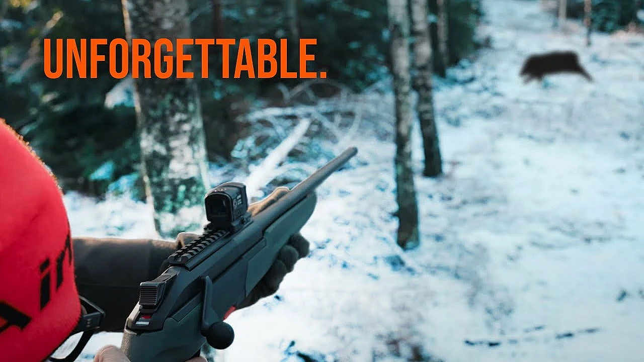 My First Driven Boar Hunt In Sweden