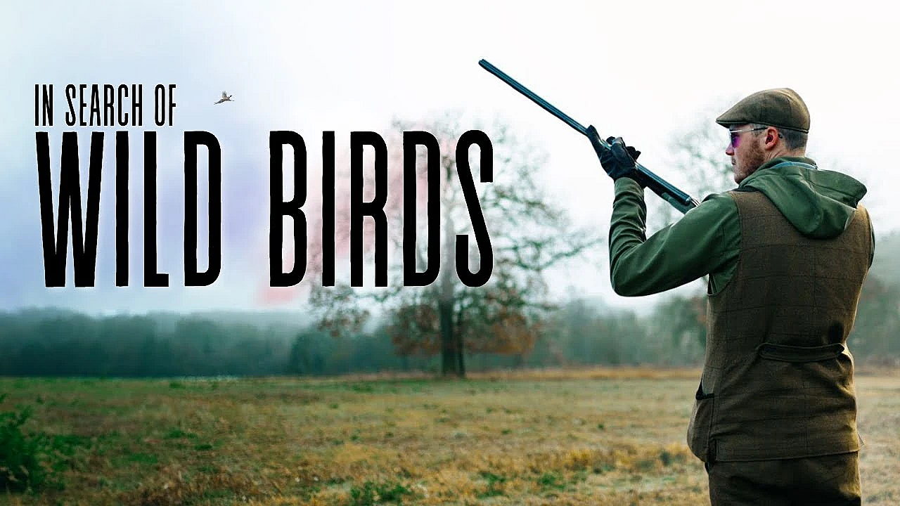 There's No Going Back From This...