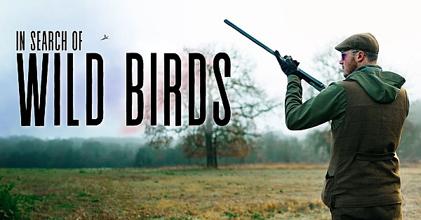 There's No Going Back From This...