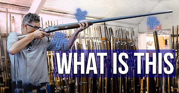 Gun Auction Walkaround - Hunting Bargains In The Holts Sealed Bid Gunroom