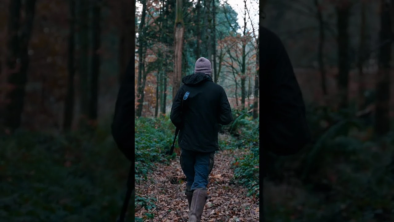 3 Days Hunting Deer In The Ancient Hunting Forest  #hunting