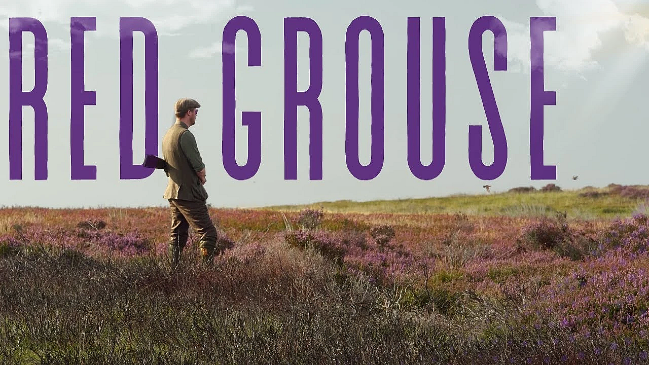 The Glorious Twelfth