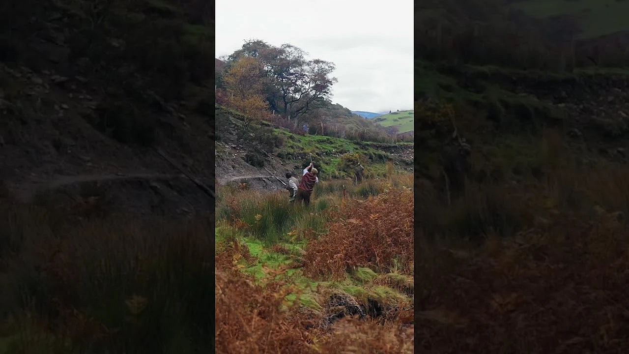 Stretching Barrels At A High Bird