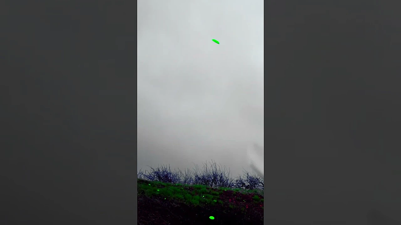 Did I Hit The Target?