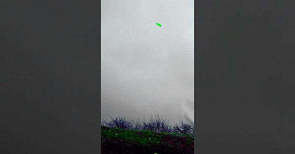 Did I Hit The Target?