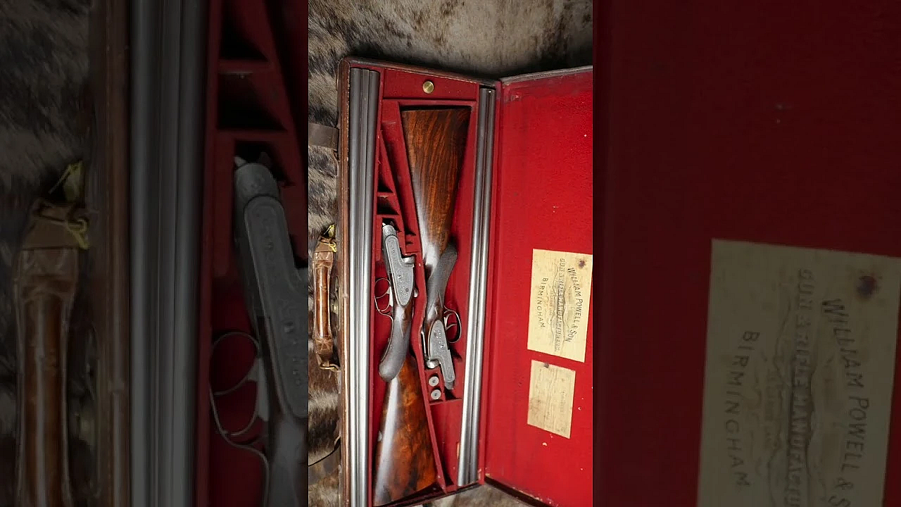 Which Is Your Favourite? #gun