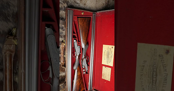 Which Is Your Favourite? #gun