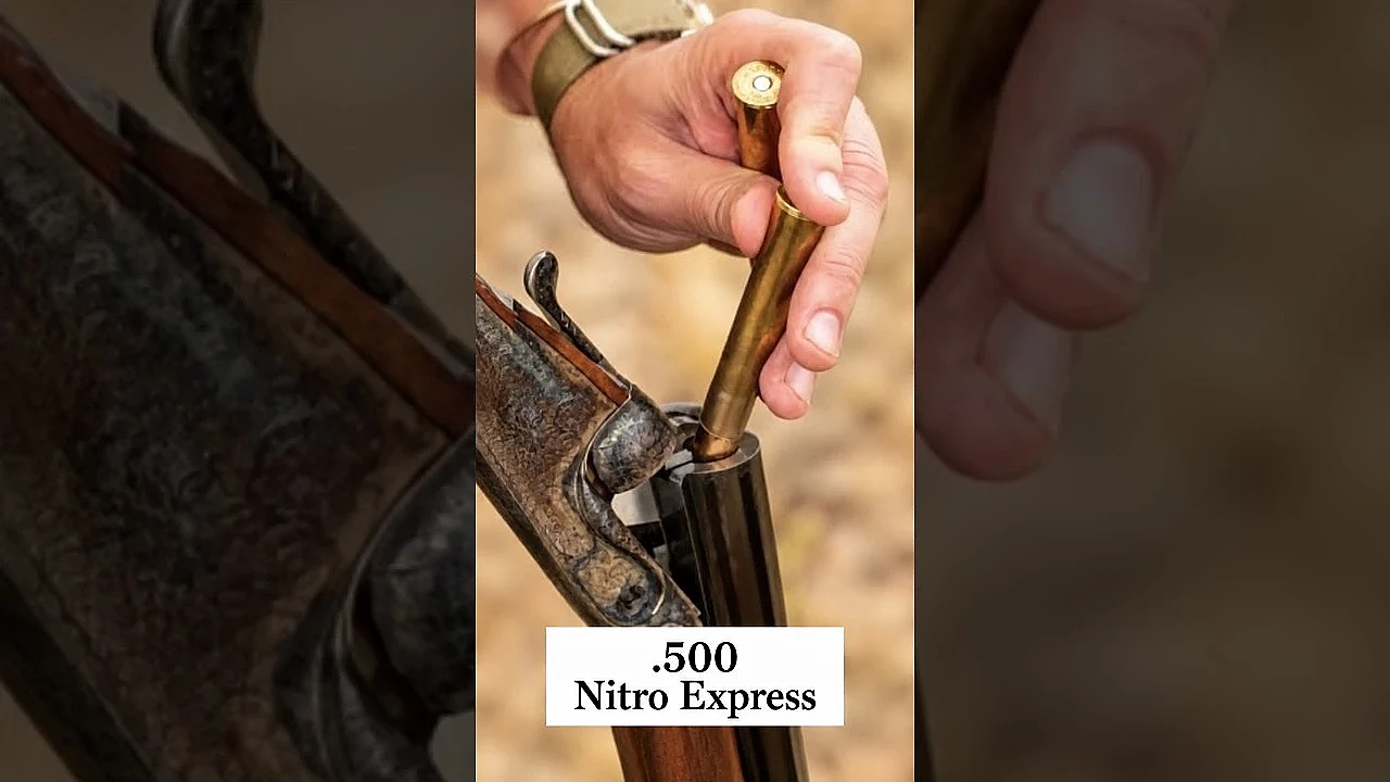 How to Shoot a BIG rifle!?