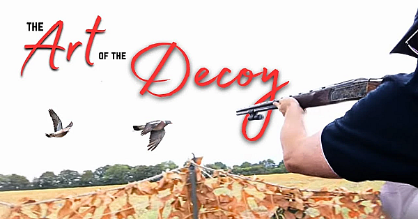Shooting 130 Pigeons!!! The Complete Guide To Pigeon Shooting