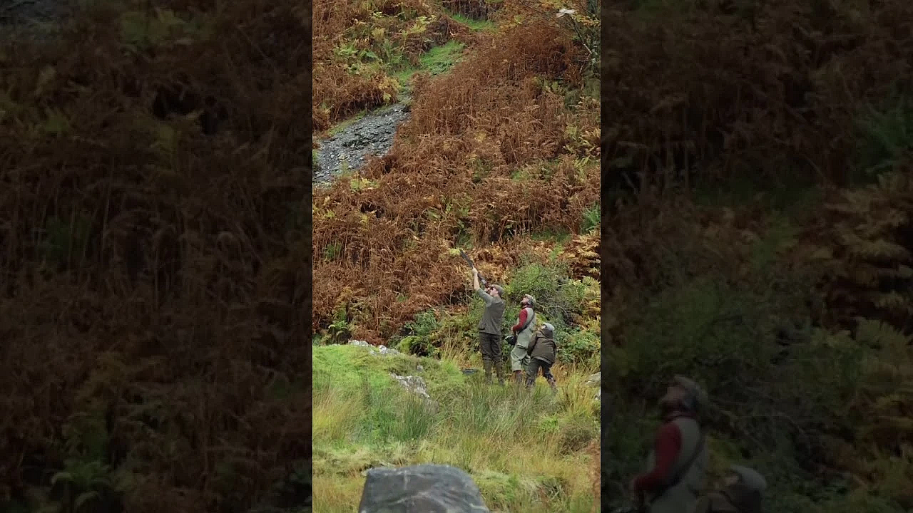Driven Bird Shooting In Wales