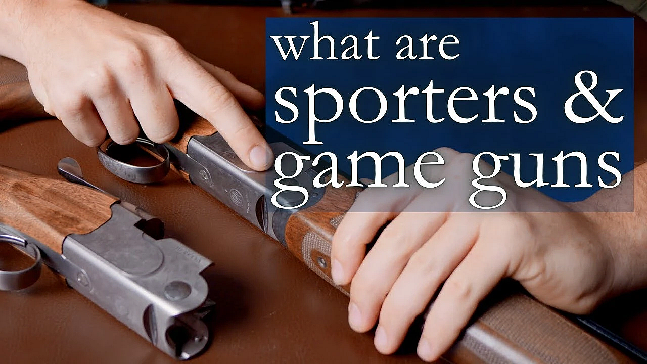 Difference Between Field And Sporter Shotguns With Tgs
