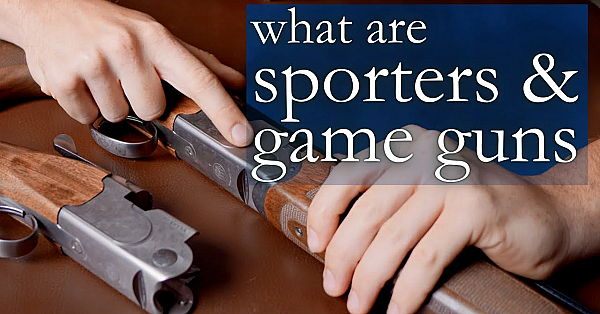 Difference Between Field And Sporter Shotguns With Tgs