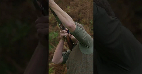 Peg 3 At Waterfall - High Birds With The Beretta Sl3