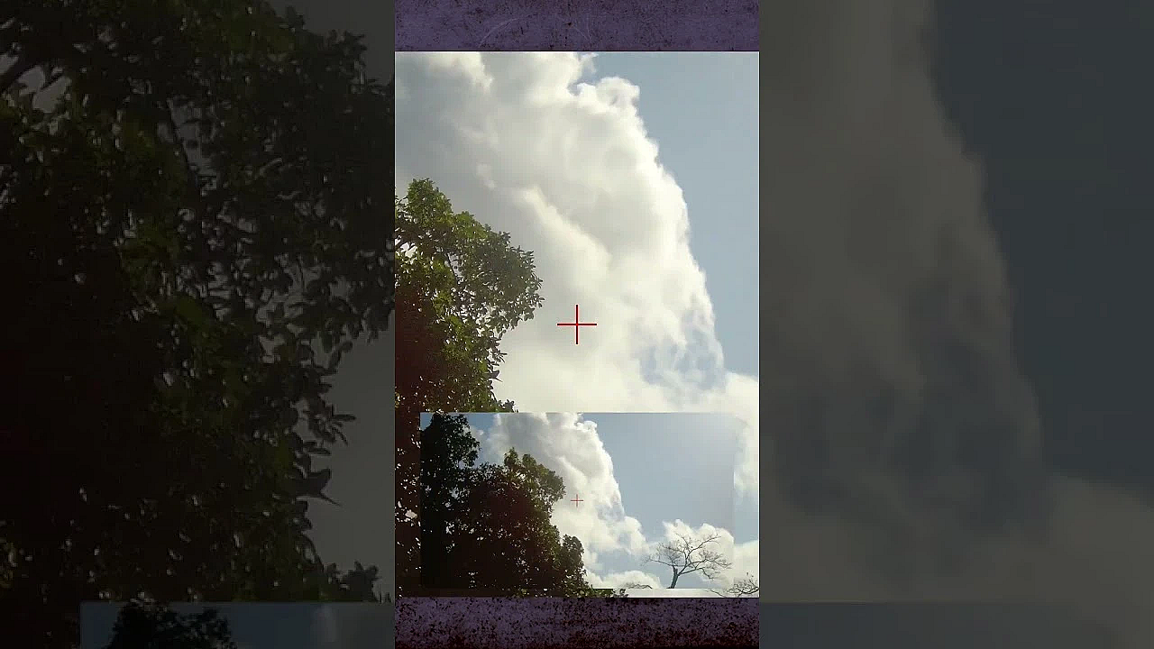 Dove Hunting In Dominican Republic