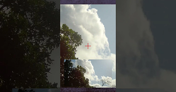 Dove Hunting In Dominican Republic