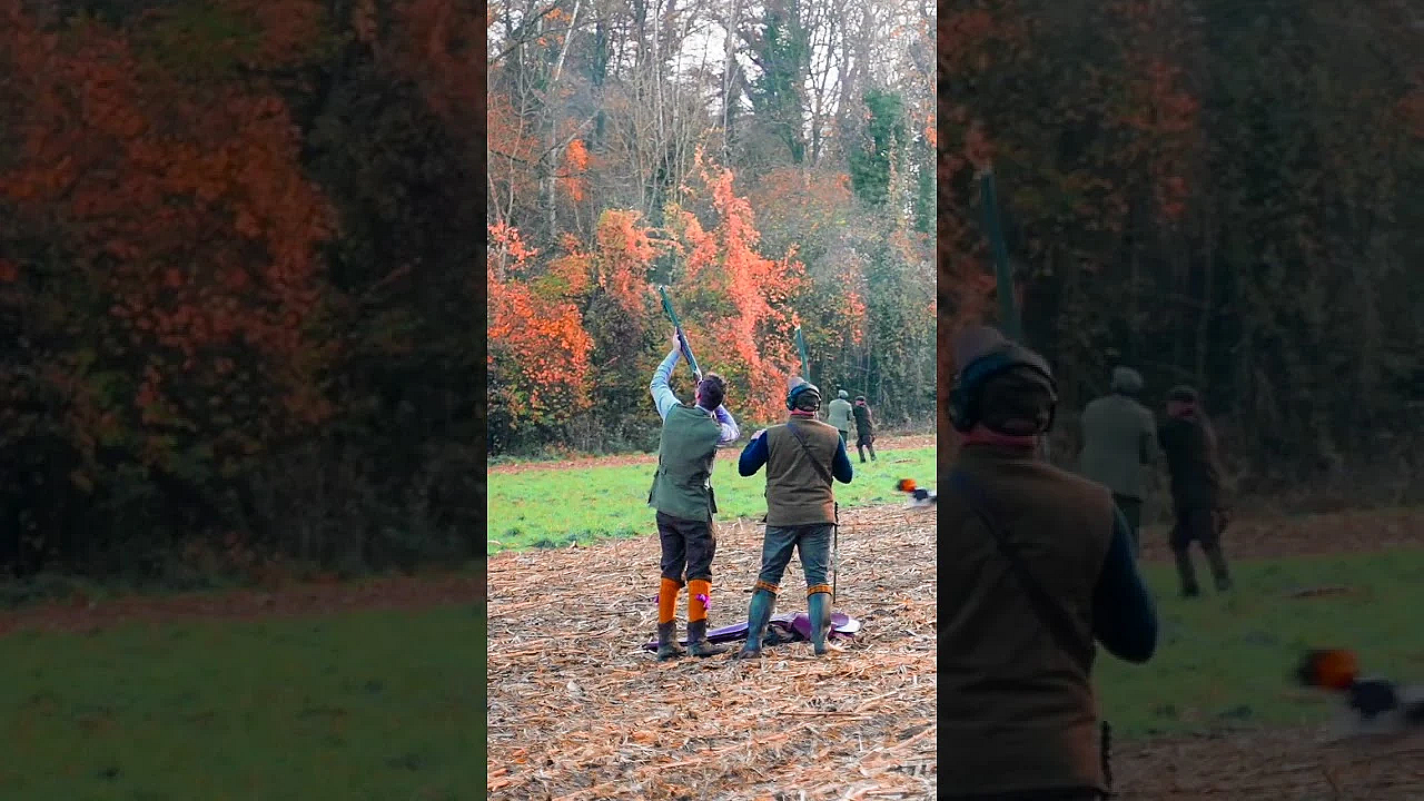 French Pheasant Shooting