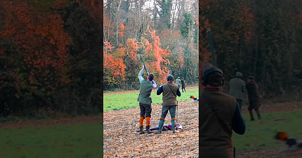 French Pheasant Shooting