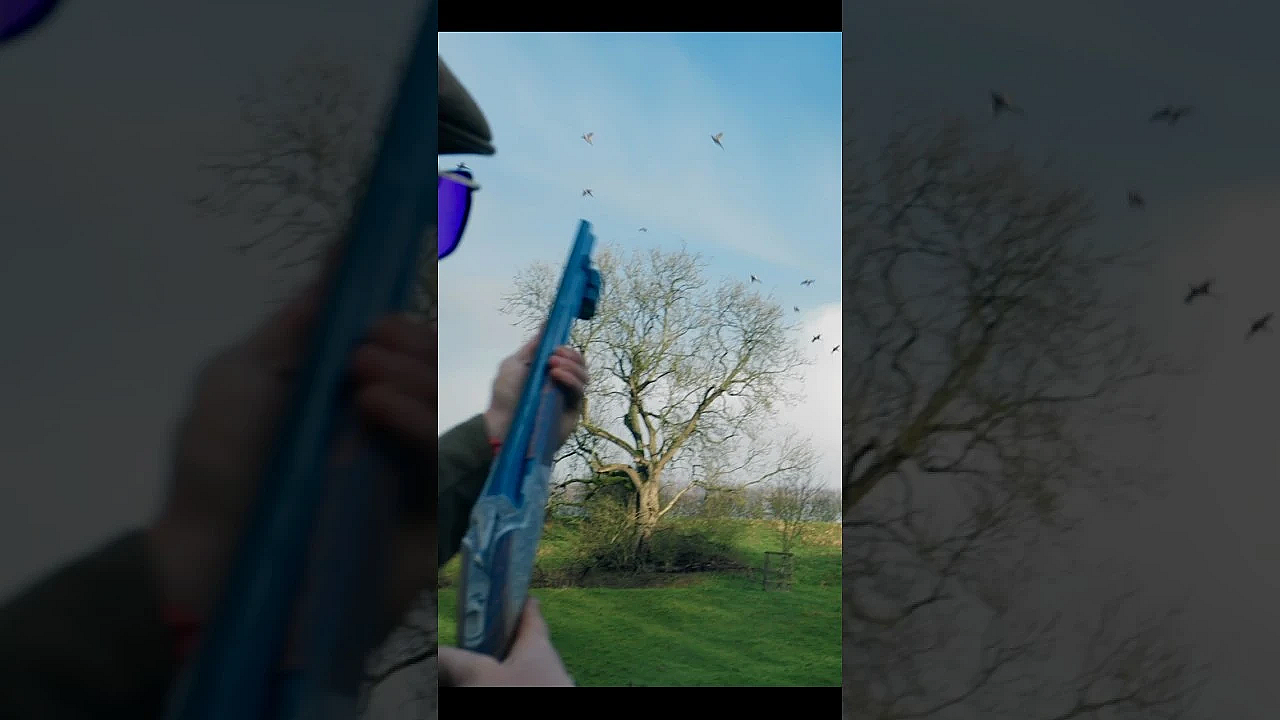 A Day At A  British Driven Shoot! #gundog #shooting