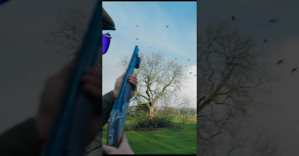 A Day At A  British Driven Shoot! #gundog #shooting